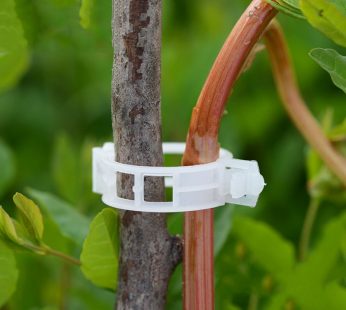 Durable 30mm Plastic Plant Support Clips
