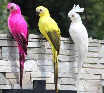 Colorful Home Garden Birds Decoration